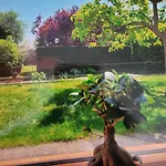Au Petit Bonheur