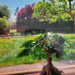 Au Petit Bonheur