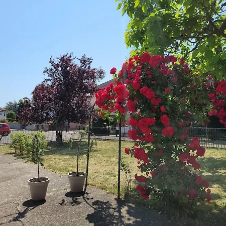 Au Petit Bonheur * Horbourg-Wihr