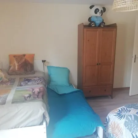 Au Petit Bonheur Appartement Horbourg-Wihr